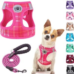 Small puppy/small dog or cat harness & leash set